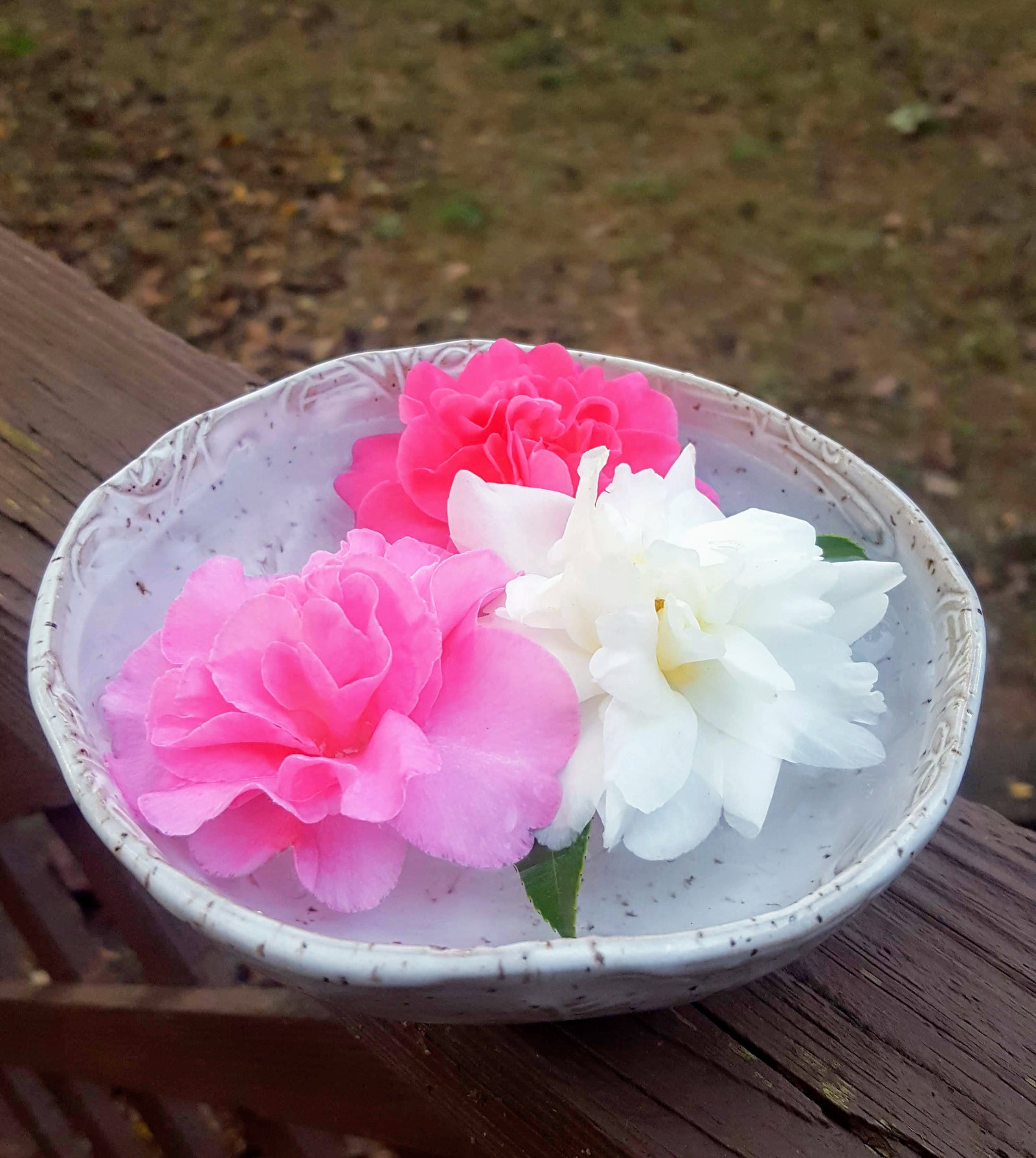 Meet the Makers- Tea, Pottery, and more...